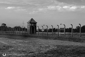 Auschwitz 04